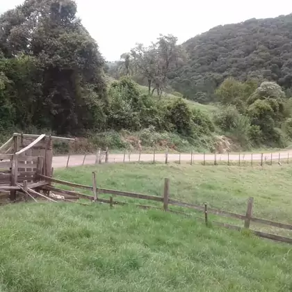 Área Rural